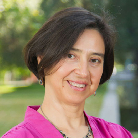 Académica Marcela Aracena