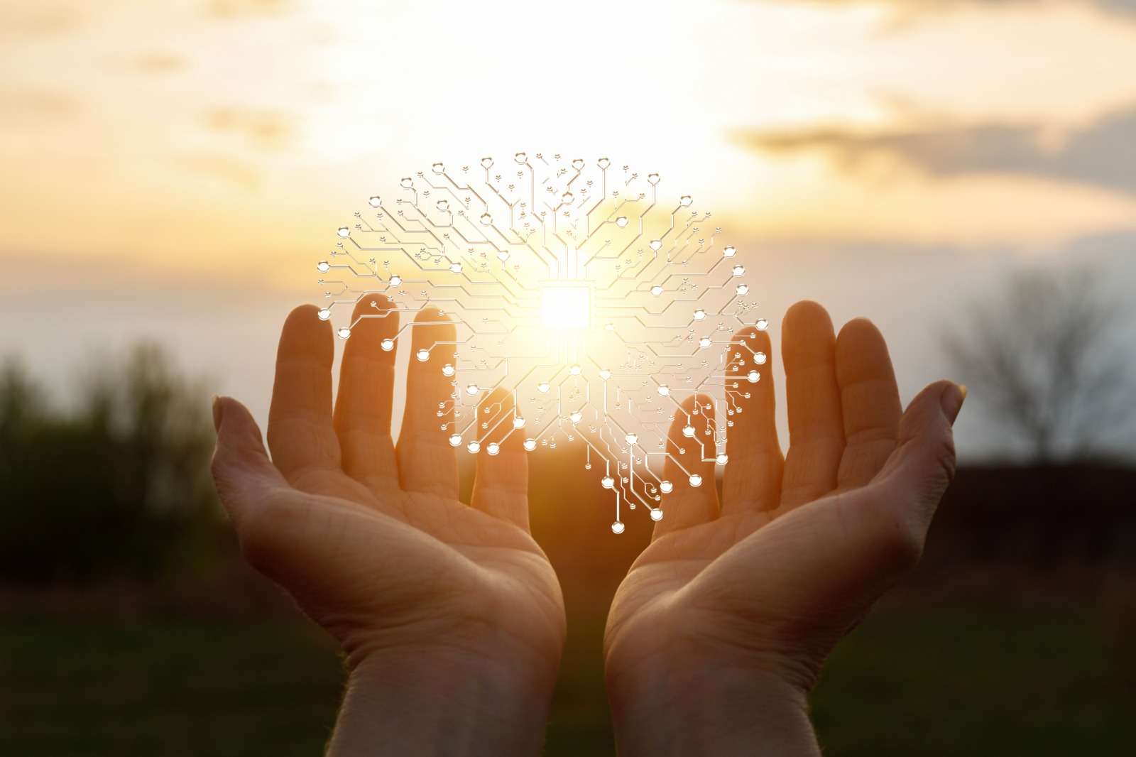 WhatsApp Image 2025-12-17 at 08.57.54